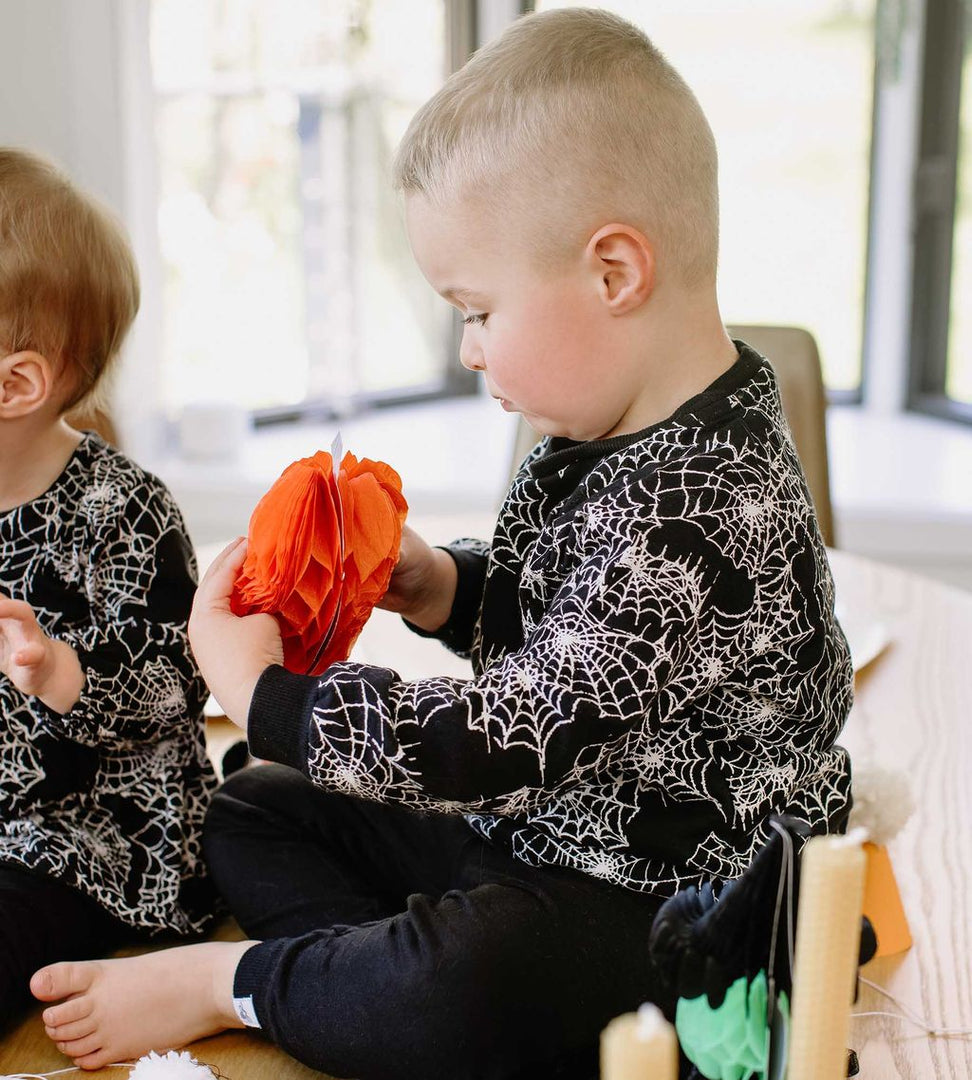 Spiderwebs Organic Boy Shirt and Pants Infant Set