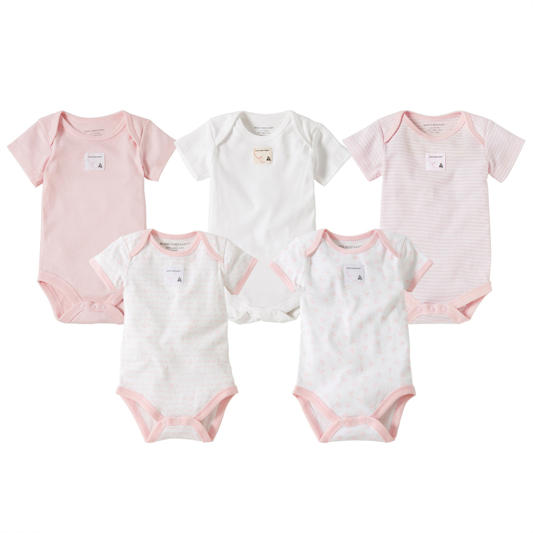 Set of 5 Short Sleeve Bodysuits